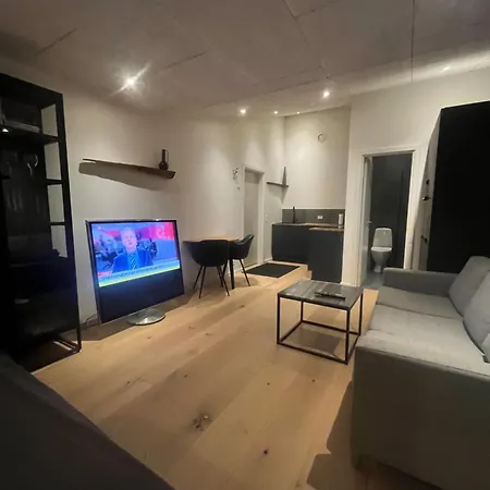 Central Lejlighed Apartment